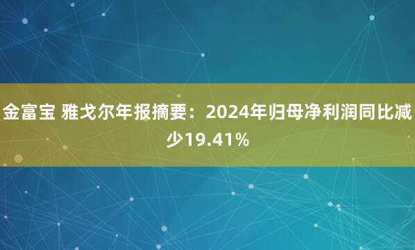 金富宝 雅戈尔年报摘要：2024年归母净利润同比减少19.41%