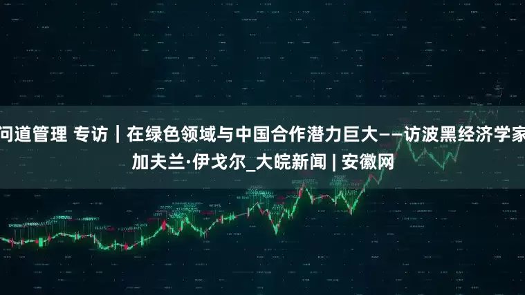 问道管理 专访｜在绿色领域与中国合作潜力巨大——访波黑经济学家加夫兰·伊戈尔_大皖新闻 | 安徽网